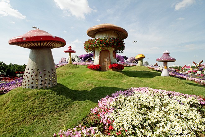Dubais Miracle Garden Adalah Kehidupan Nyata Alice in Wonderland 